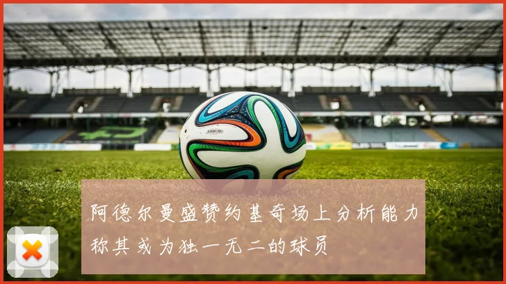 阿德尔曼盛赞约基奇场上分析能力称其或为独一无二的球员