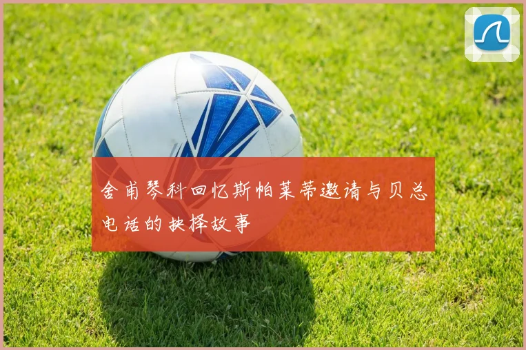 舍甫琴科回忆斯帕莱蒂邀请与贝总电话的抉择故事